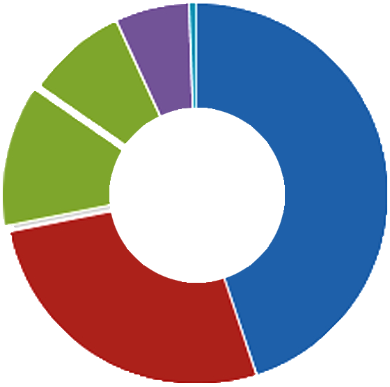 Porcentual logo